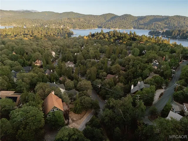 an aerial view of a town with trees