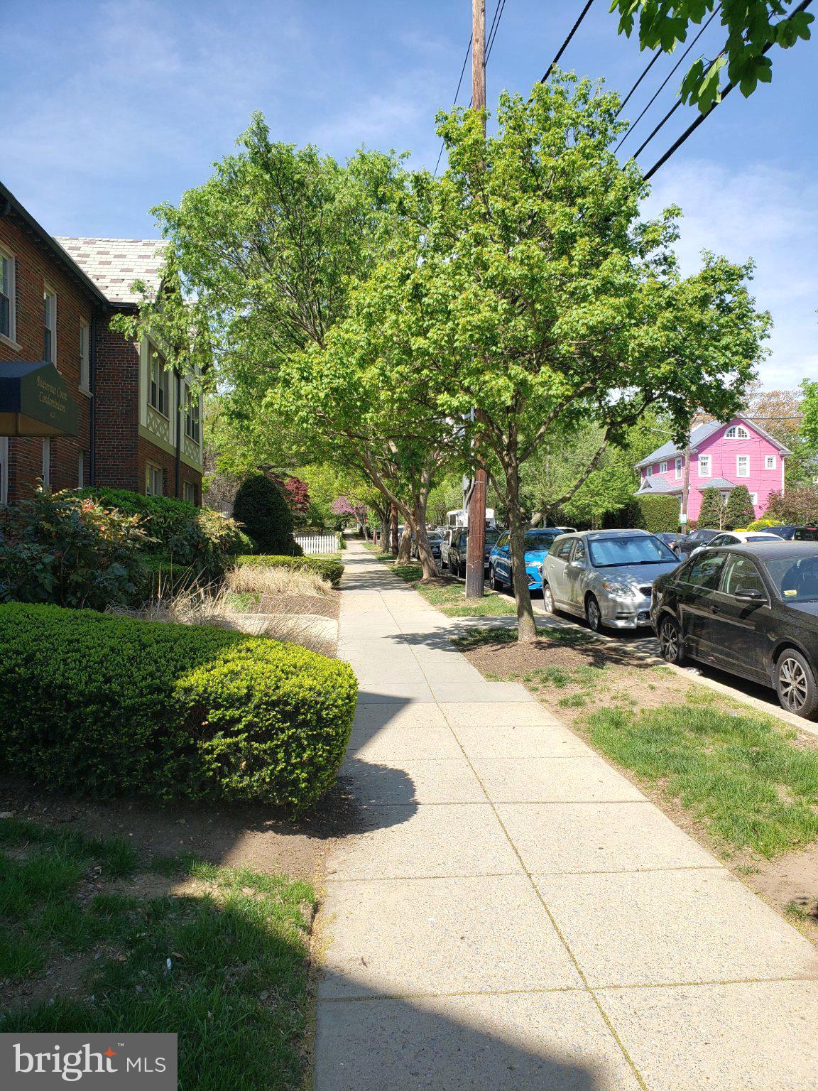 422 Butternut Street Northwest, Unit T3 Washington, DC 20012 - Photo 26 of 30 Lush trees lining a sunny sidewalk.
