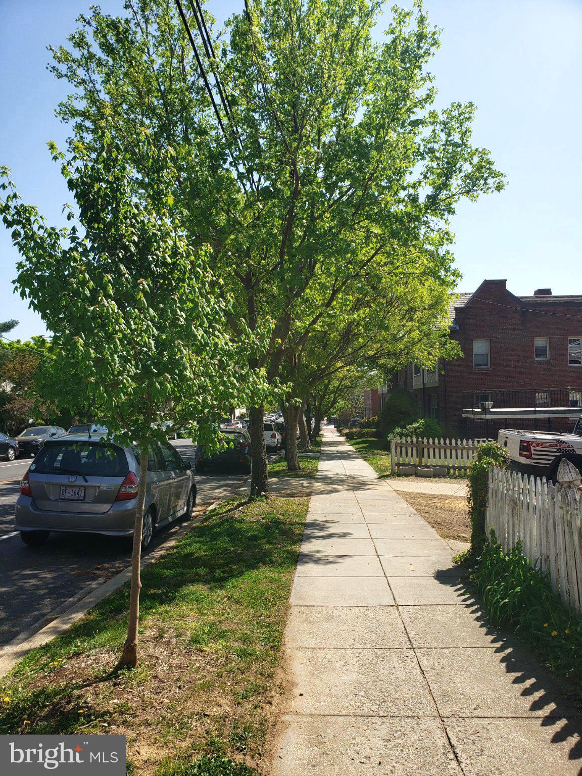 422 Butternut Street Northwest, Unit T3 Washington, DC 20012 - Photo 27 of 30 Sunny stroll along a tree-lined street.