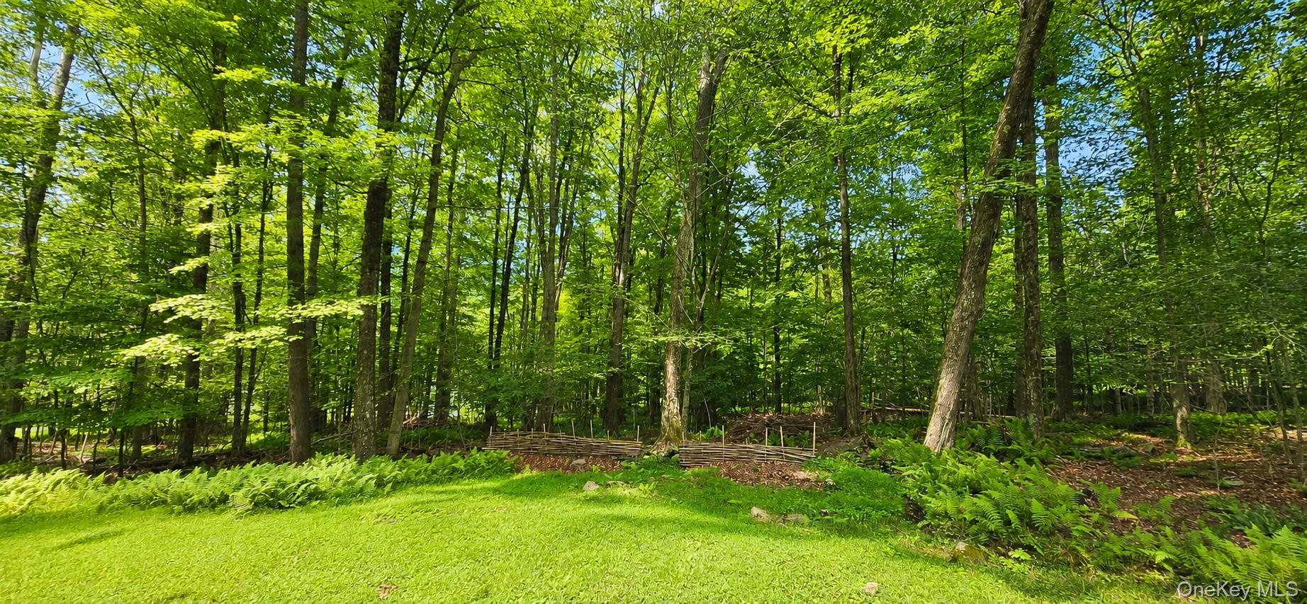 3 Rennison Road Grahamsville, NY 12740 - Photo 26 of 29 Gallery Image 26