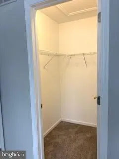 $2,800 | 4908 Tall Cedar Court, Pipersville, PA 18947