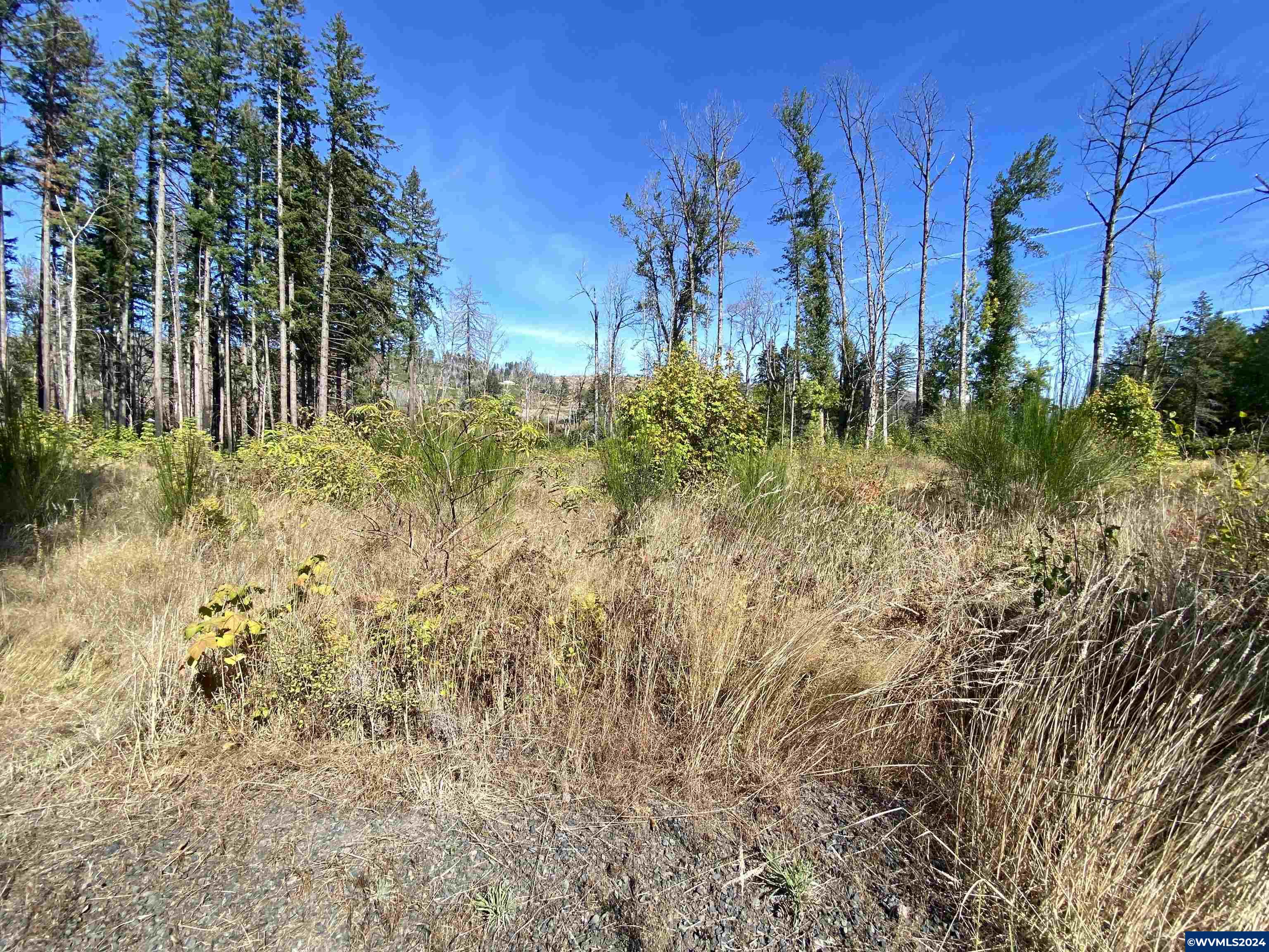 23545 North Fork Road Lyons, OR 97358 - Photo 14 of 16
