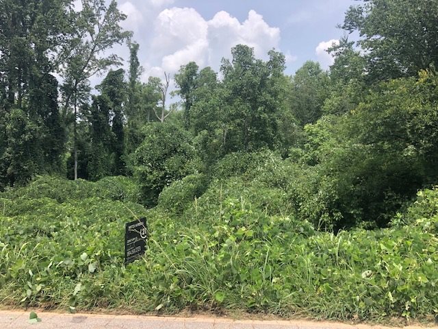 707 Cavins Road Woodruff, SC 29388 - Photo 1 of 8 Gallery Image 1