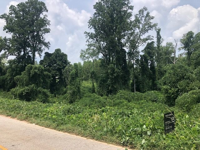 707 Cavins Road Woodruff, SC 29388 - Photo 2 of 8 Gallery Image 2
