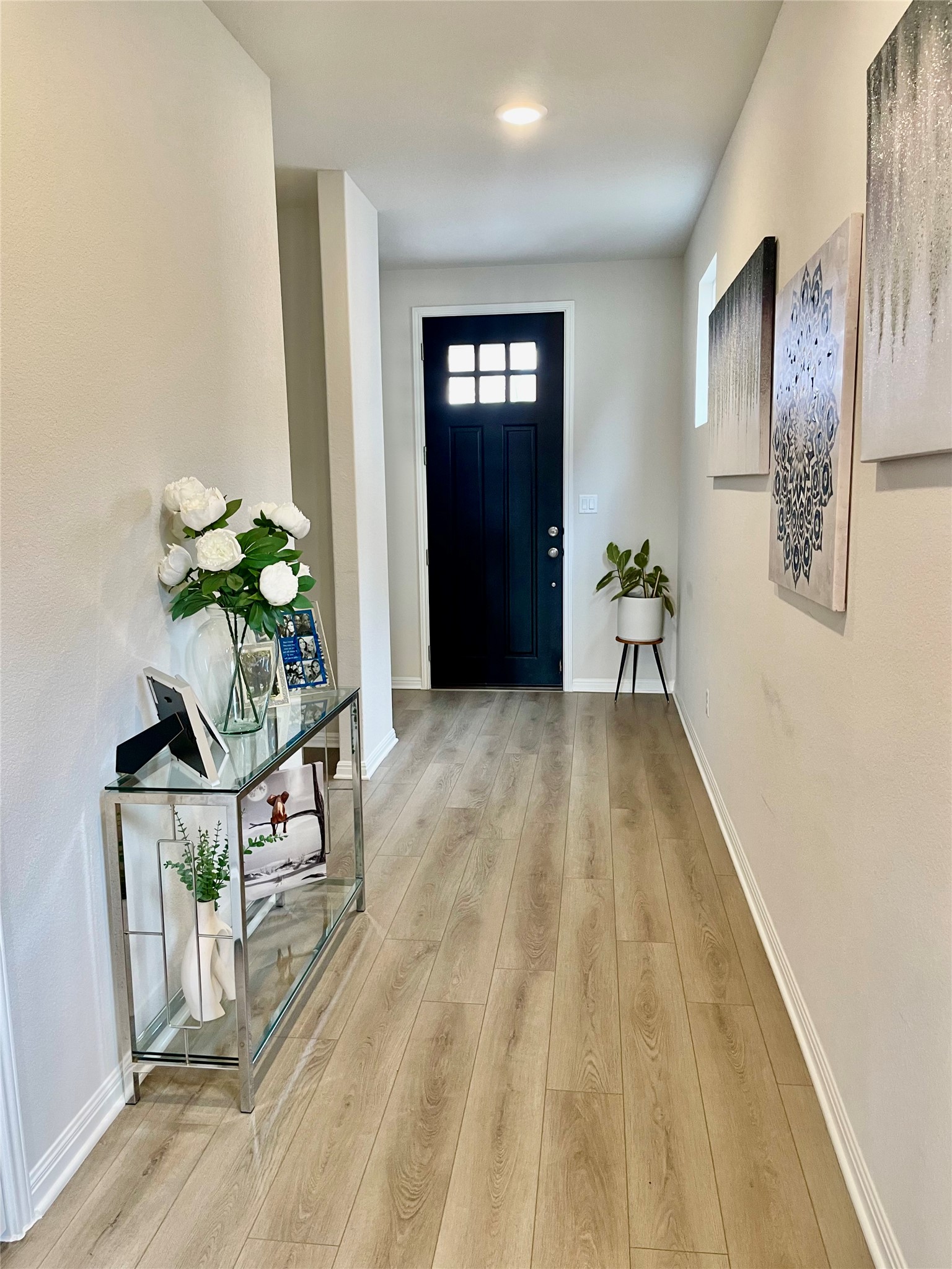 232 Denali Way Dripping Springs, TX 78620 - Photo 17 of 33 Foyer entrance with baseboards and light wood-style flooring
