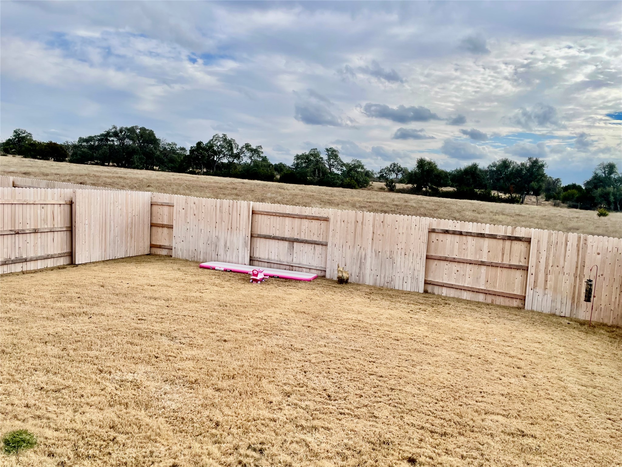 232 Denali Way Dripping Springs, TX 78620 - Photo 31 of 33 View of fenced yard