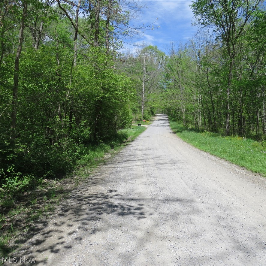 Montero Road Northeast Carrollton, OH 44615 - Photo 12 of 12