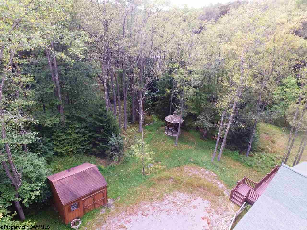 101 Snapping Turtle Lane Davis, WV 26260 - Photo 7 of 20 Gallery Image 7