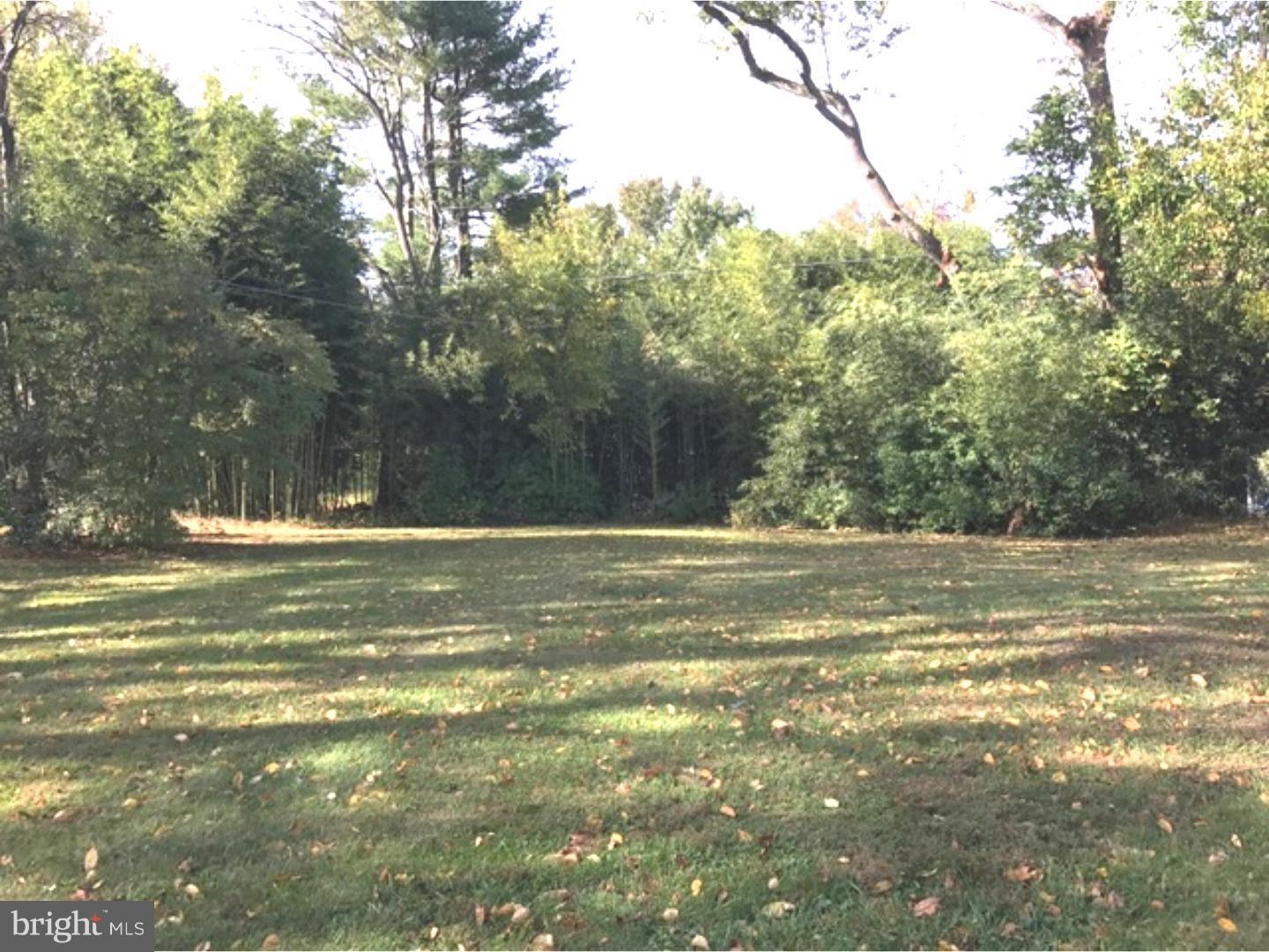 720 Yale Road Bala Cynwyd, PA 19004 - Photo 5 of 5