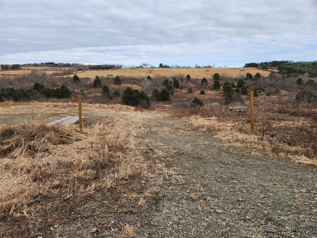 248 Ticknor Brook Road Whitney Point, NY 13862 - Photo 1 of 1