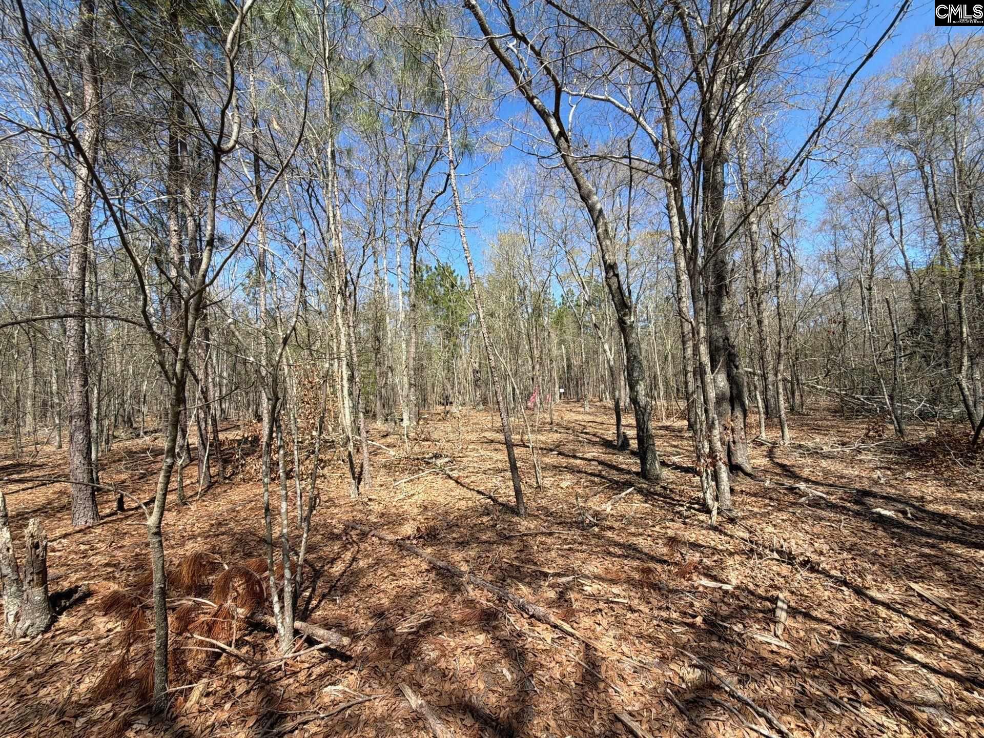 9 Boise Cascade Road, Unit BHL 9 Bethune, SC 29009 - Photo 16 of 44