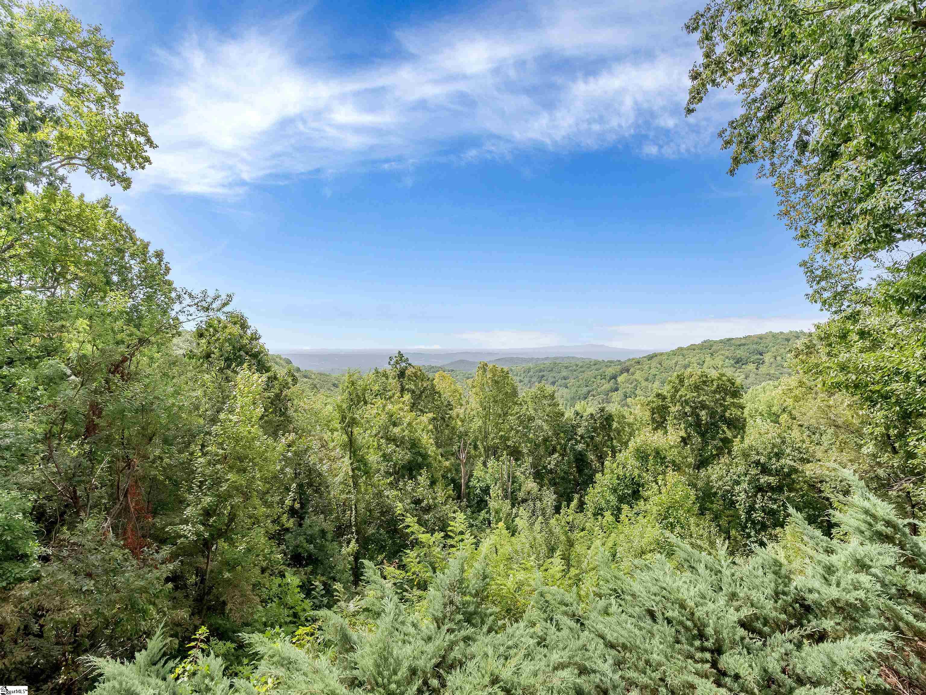 114 High Rock Ridge Drive Landrum, SC 29356 - Photo 19 of 34