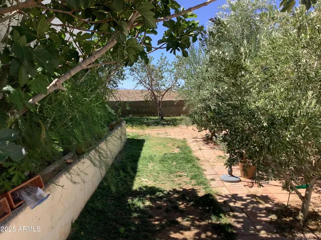 a view of a yard with plants
