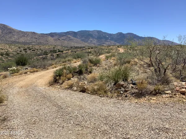 $410,000 | 24913 West Fresnal Wash, Willcox, AZ 85643