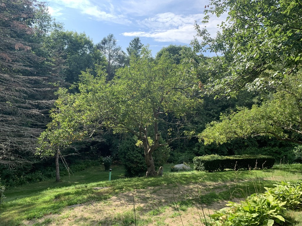 369 Cedar Swamp Road Monson, MA 01057 - Photo 12 of 19
