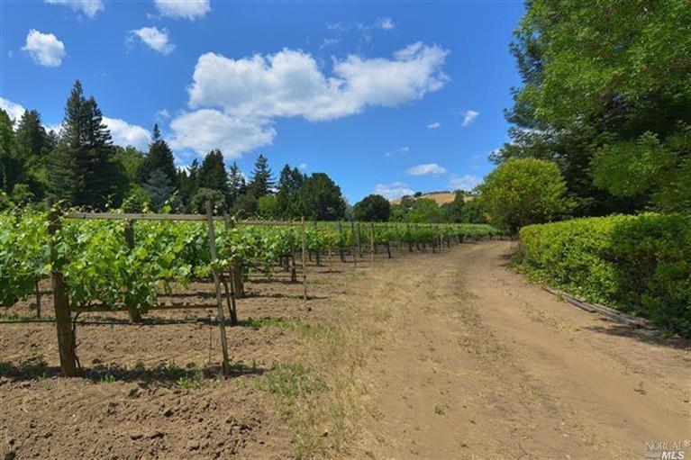 3194 Redwood Road Napa, CA 94558 - Photo 1 of 1 Road along vineyard.