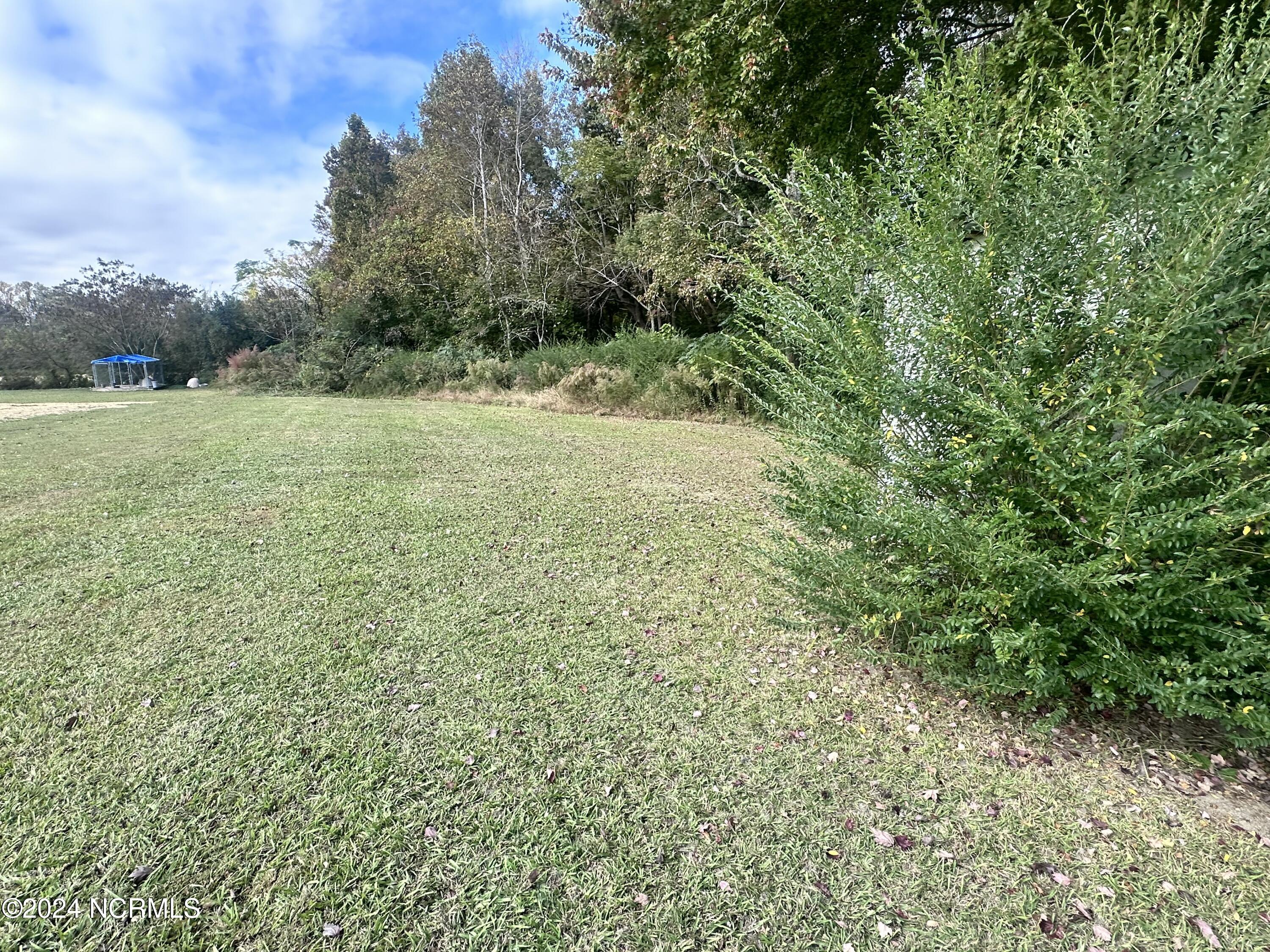 10141 Cherry Run Road Greenville, NC 27834 - Photo 24 of 25 IMG_2563
