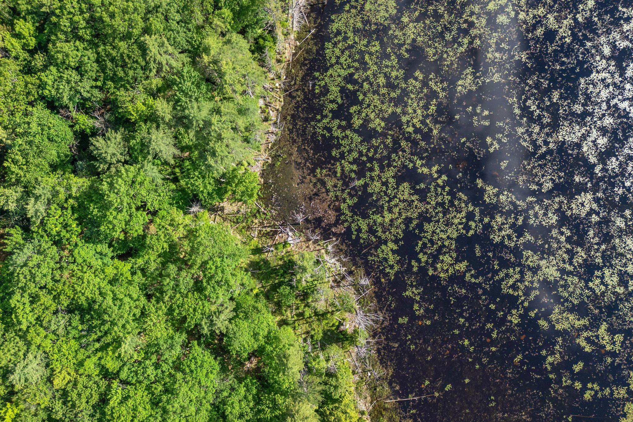 79 Lukes Road Casco, ME 04015 - Photo 52 of 55 32_DJI_20260611165225_0081_D copy
