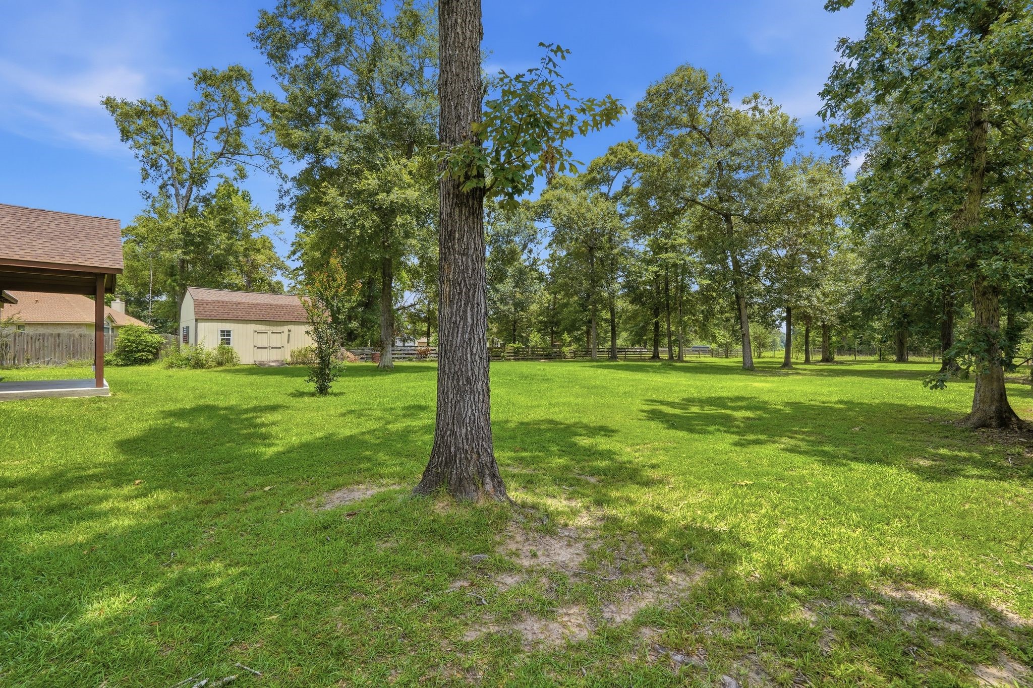 9217 Silver Back Trail Conroe, TX 77303 - Photo 46 of 50