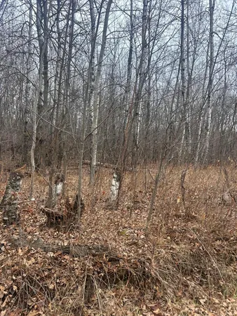 $25,900 | Tbdxxxx Tbdxxxx Golf Course Drive, Randall, MN 56475