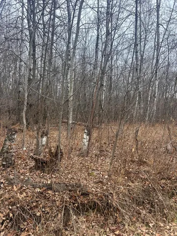 $25,900 | Tbdxxxx Tbdxxxx Golf Course Drive, Randall, MN 56475