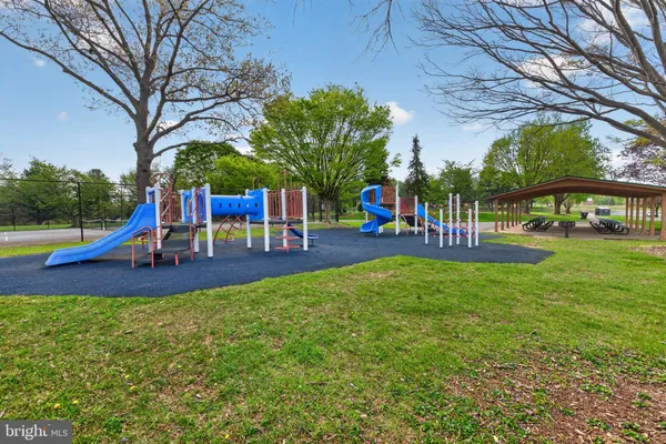 a view of a park with a large trees