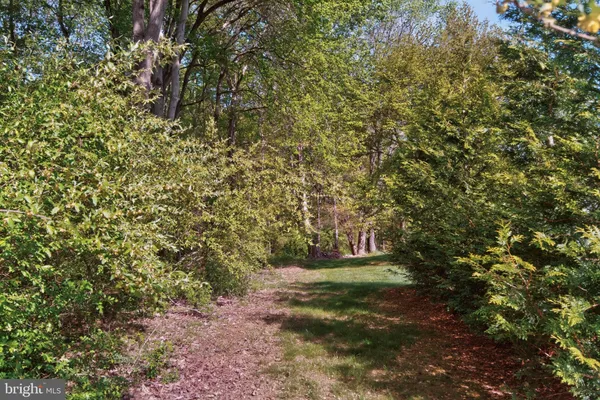 a view of a field with plants and trees