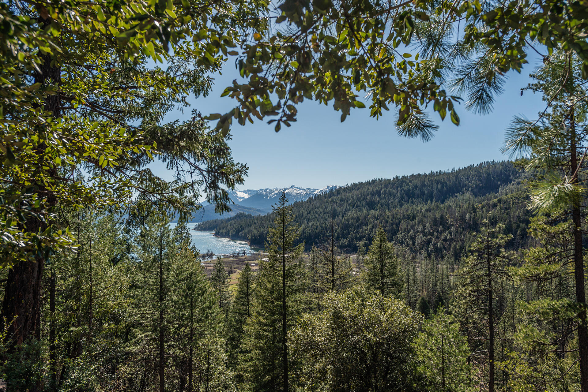 8341 East Side Road Trinity Center, CA 96091 - Photo 58 of 79 DSC_7746