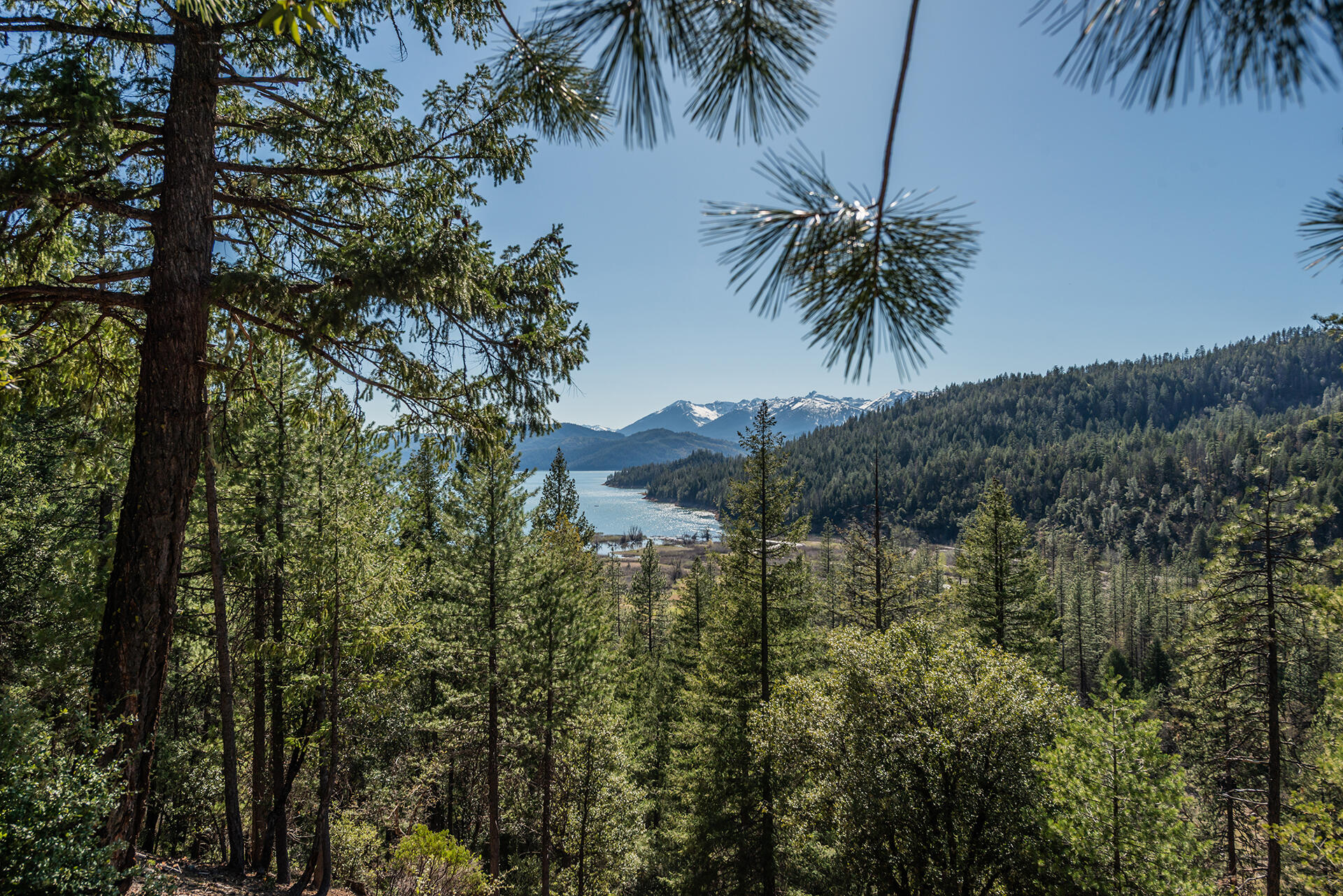 8341 East Side Road Trinity Center, CA 96091 - Photo 59 of 79 DSC_7747