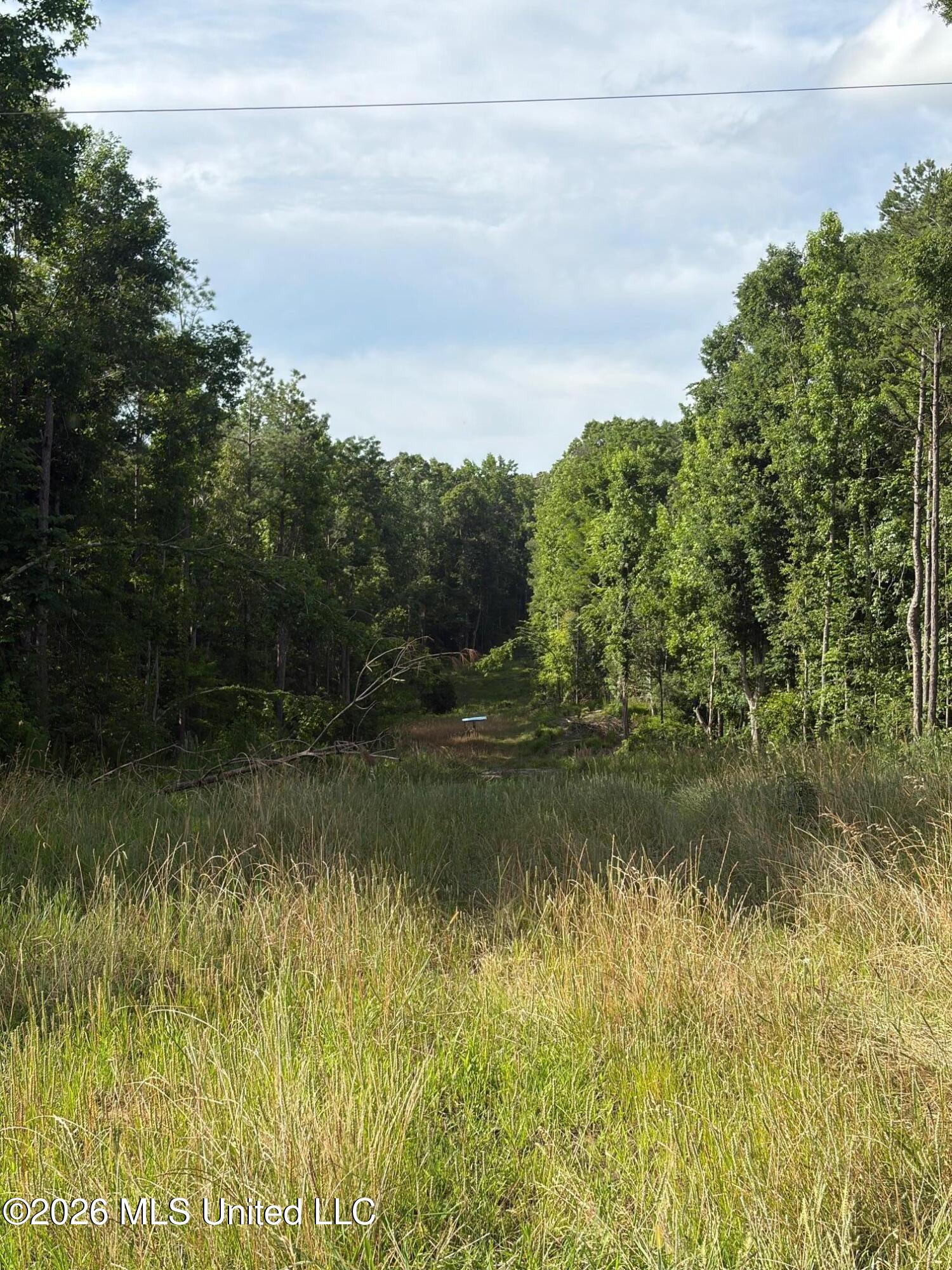 159 County Road Coila, MS 38923 - Photo 2 of 9 IMG_1305