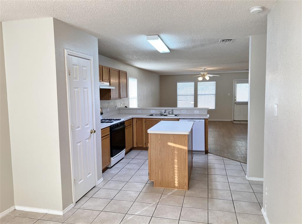 2217 Lookout Lane Denton, TX 76207 - Photo 4 of 18 a kitchen with a sink a counter top space and cabinets