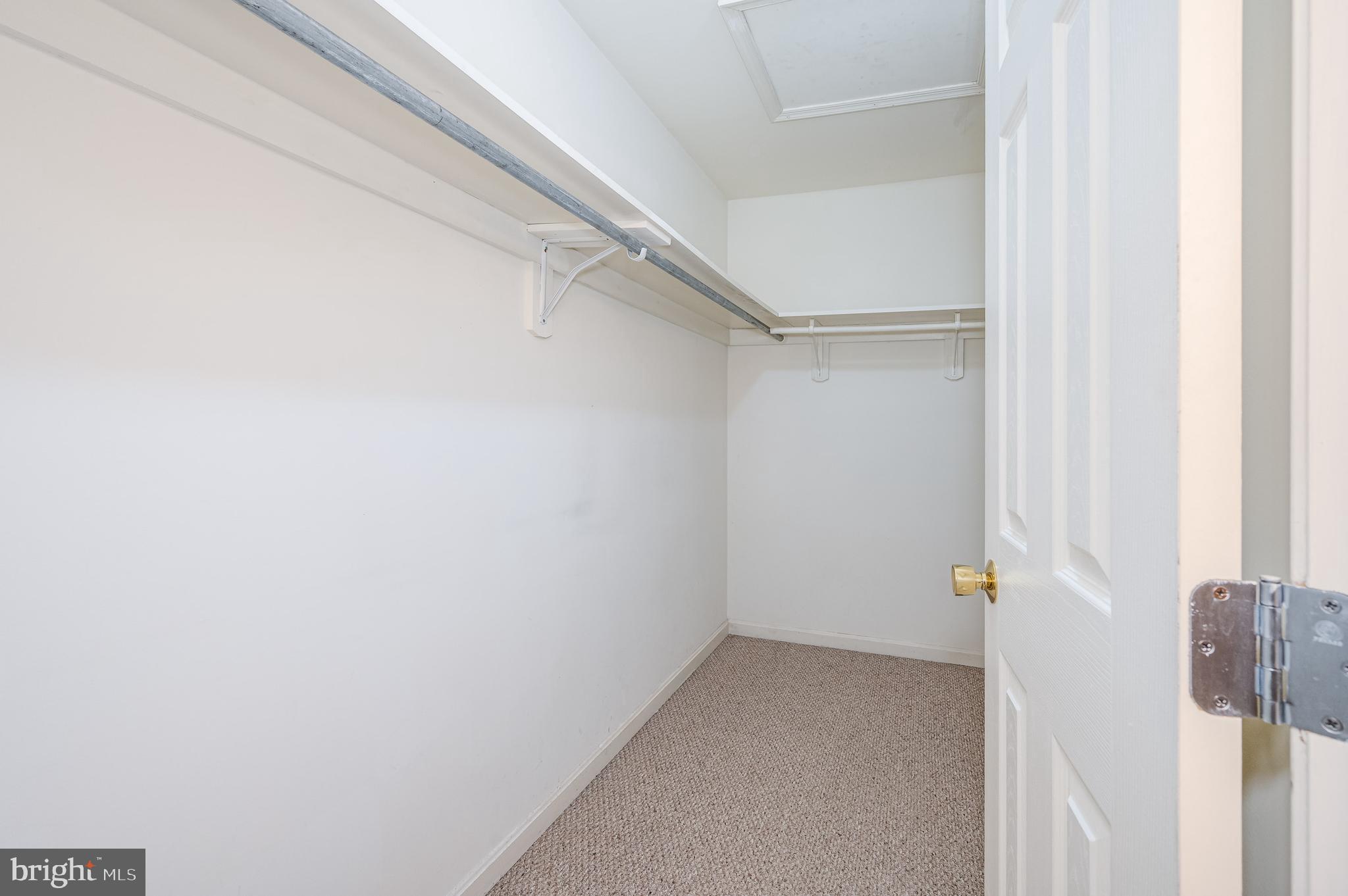 72 Mercer Lane Falling Waters, WV 25419 - Photo 28 of 45 Primary bedroom walk in closet