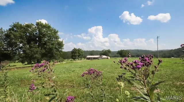 $725,000 | 9111 Highway E Fredericktown Mo 63621, Arcadia, MO 63621