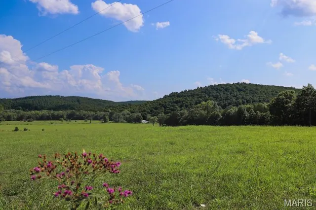 $725,000 | 9111 Highway E Fredericktown Mo 63621, Arcadia, MO 63621