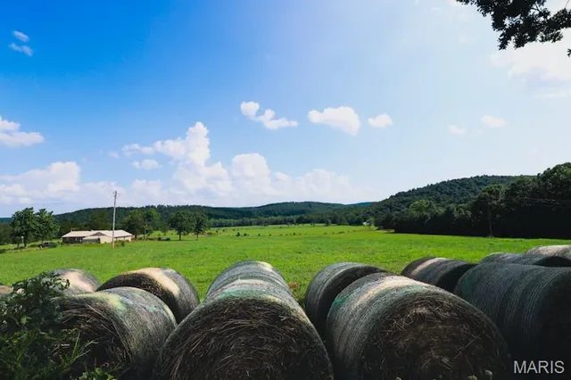 $699,000 | 9111 Highway E Fredericktown Mo 63621, Arcadia, MO 63621