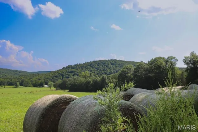 $725,000 | 9111 Highway E Fredericktown Mo 63621, Arcadia, MO 63621