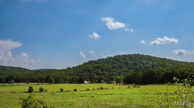 $699,000 | 9111 Highway E Fredericktown Mo 63621, Arcadia, MO 63621