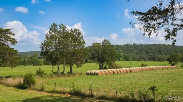 $725,000 | 9111 Highway E Fredericktown Mo 63621, Arcadia, MO 63621