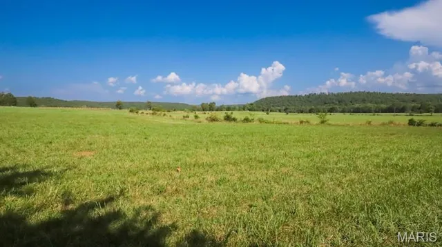 $725,000 | 9111 Highway E Fredericktown Mo 63621, Arcadia, MO 63621