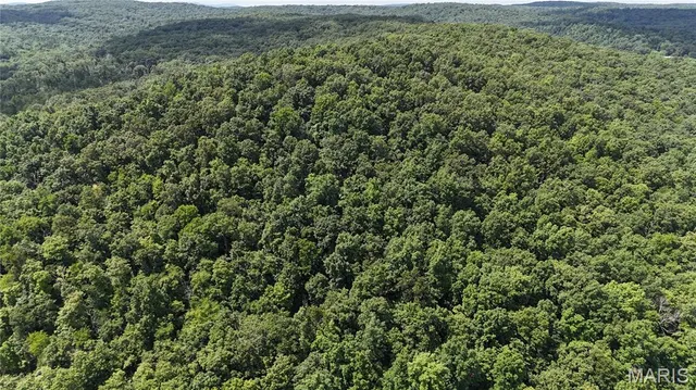 $699,000 | 9111 Highway E Fredericktown Mo 63621, Arcadia, MO 63621