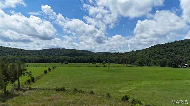 $725,000 | 9111 Highway E Fredericktown Mo 63621, Arcadia, MO 63621