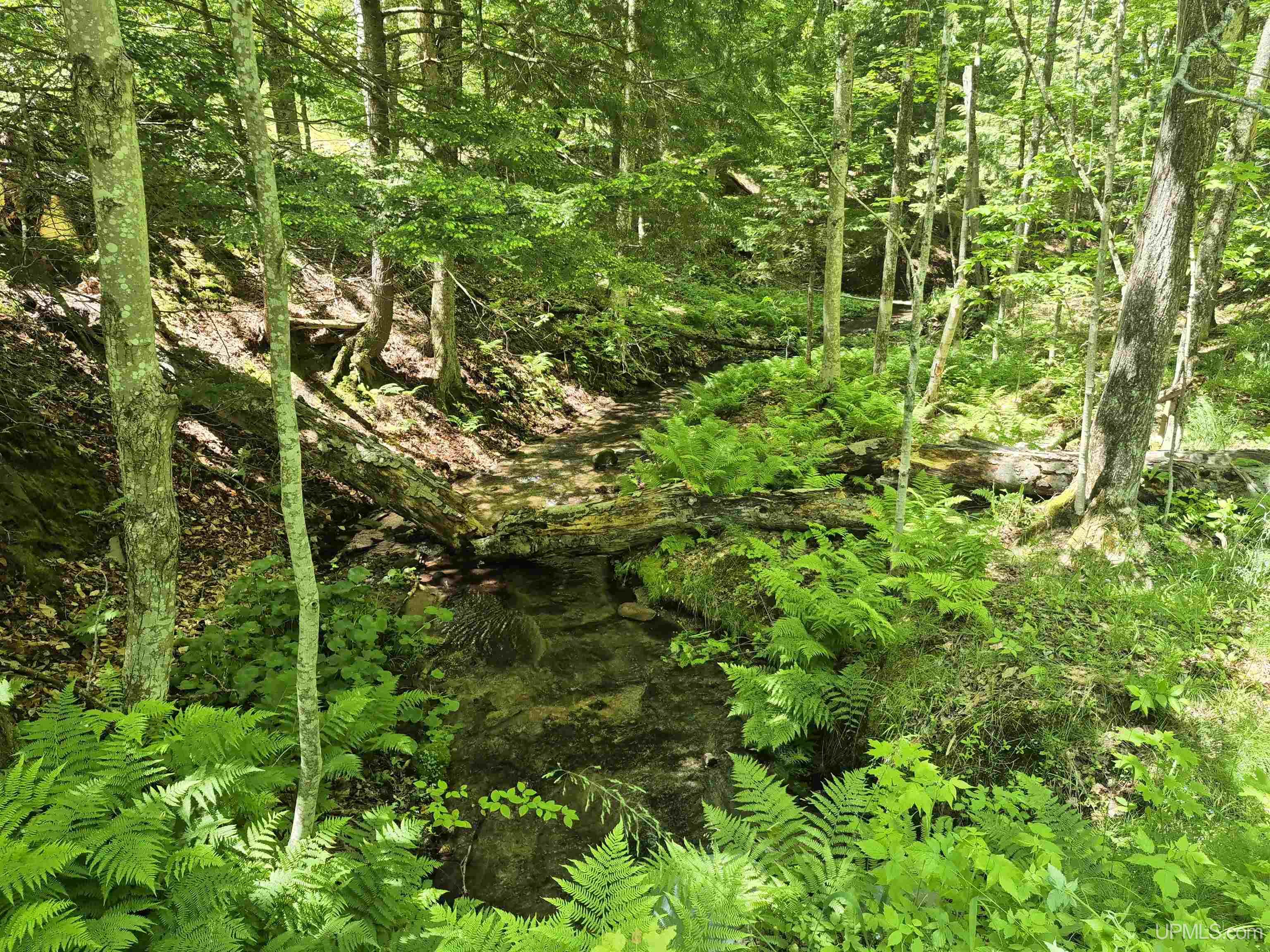 8-acres Nestor Road Munising, MI 49862 - Photo 14 of 43