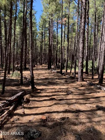 a view of outdoor space with trees
