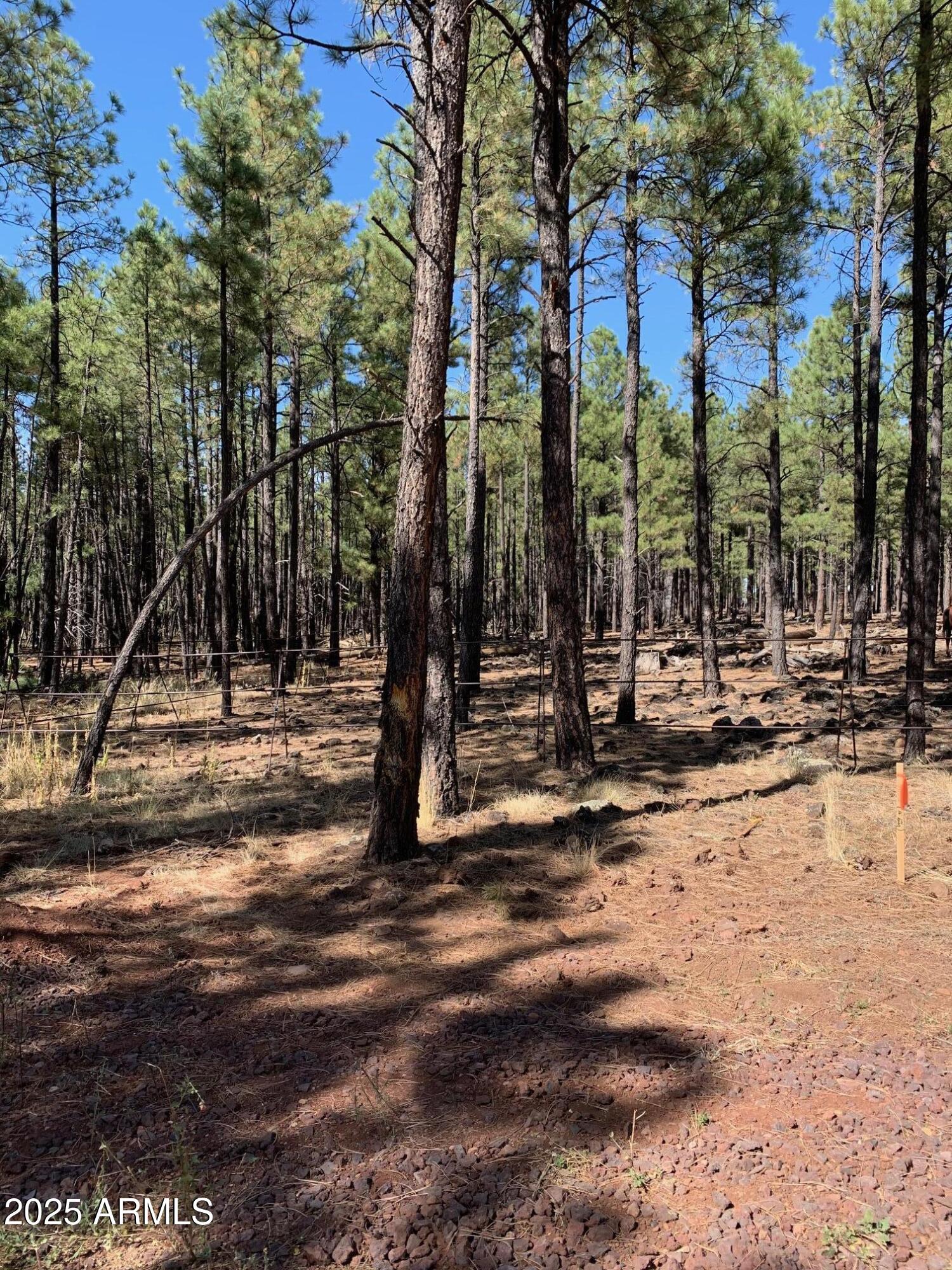 Tbd Tbd Dynamite Road Pinetop, AZ 85935 - Photo 3 of 3 IMG_1262