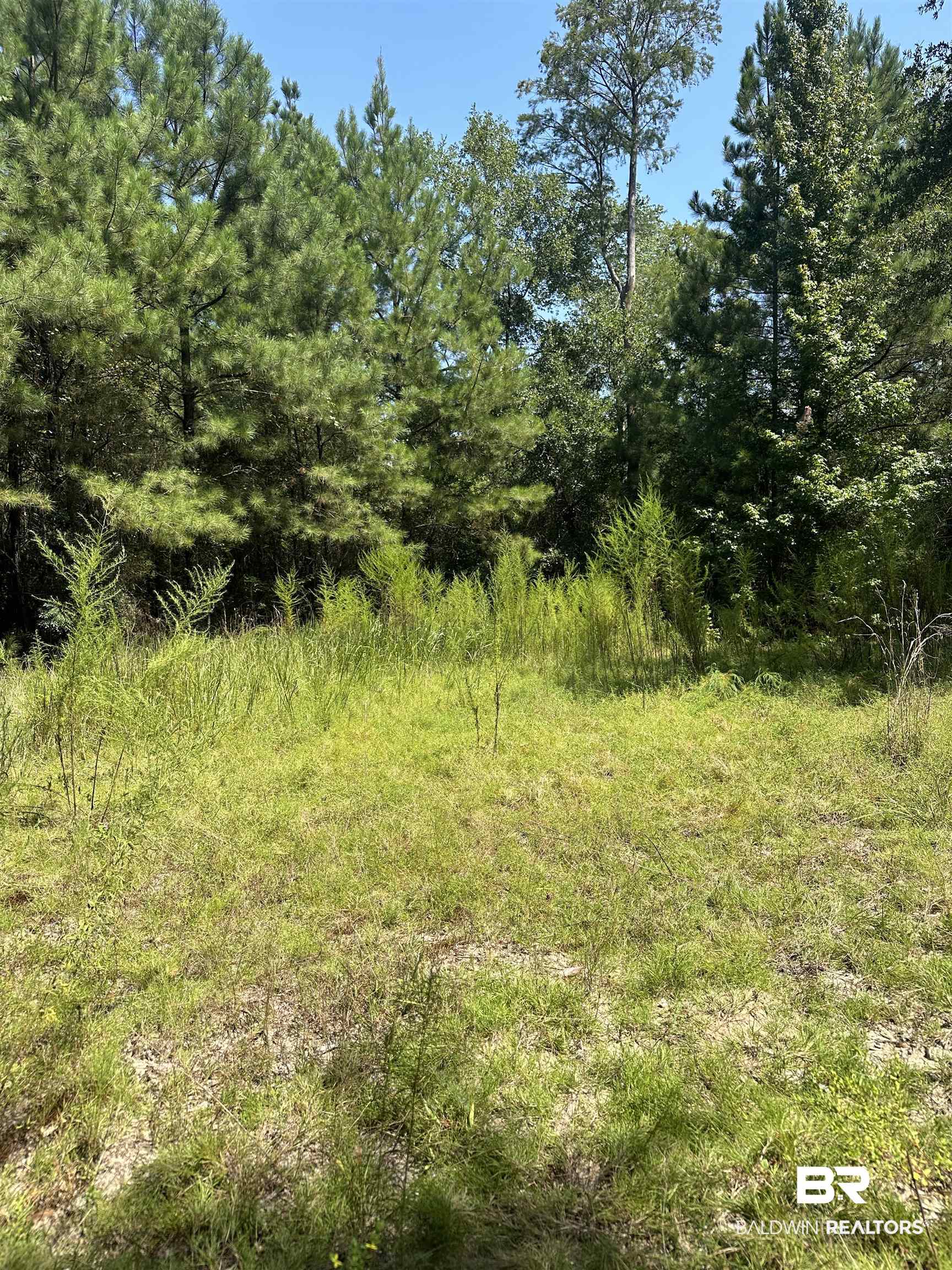 17175 Kelly Road Mount Vernon, AL 36560 - Photo 21 of 30 View of nature