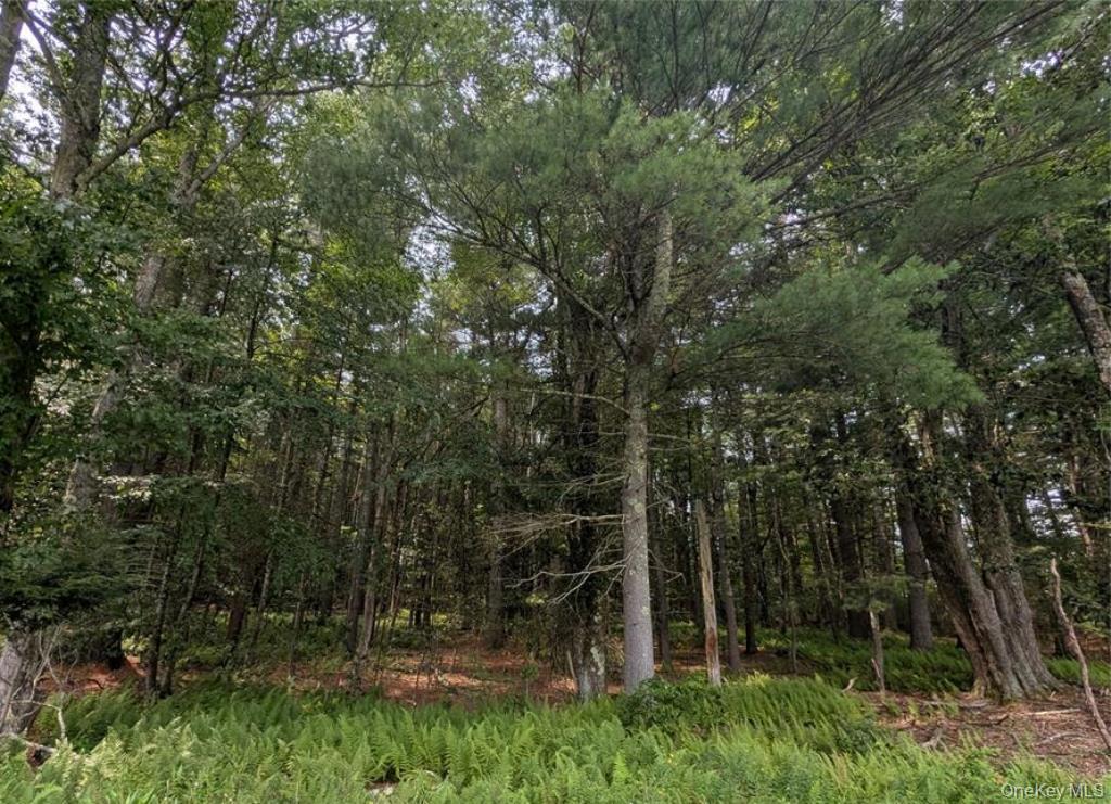 Harris Road Harris, NY 12742 - Photo 7 of 11 Gallery Image 7