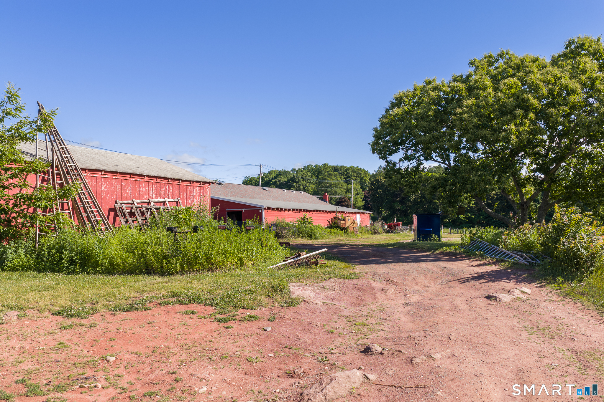 810 Dunbar Hill Road Hamden, CT 06514 - Photo 16 of 40 Barn