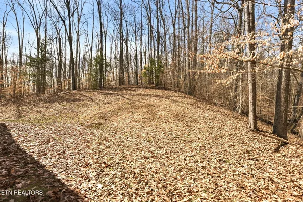 $699,900 | 321 West Bullrun Valley Drive, Heiskell, TN 37754