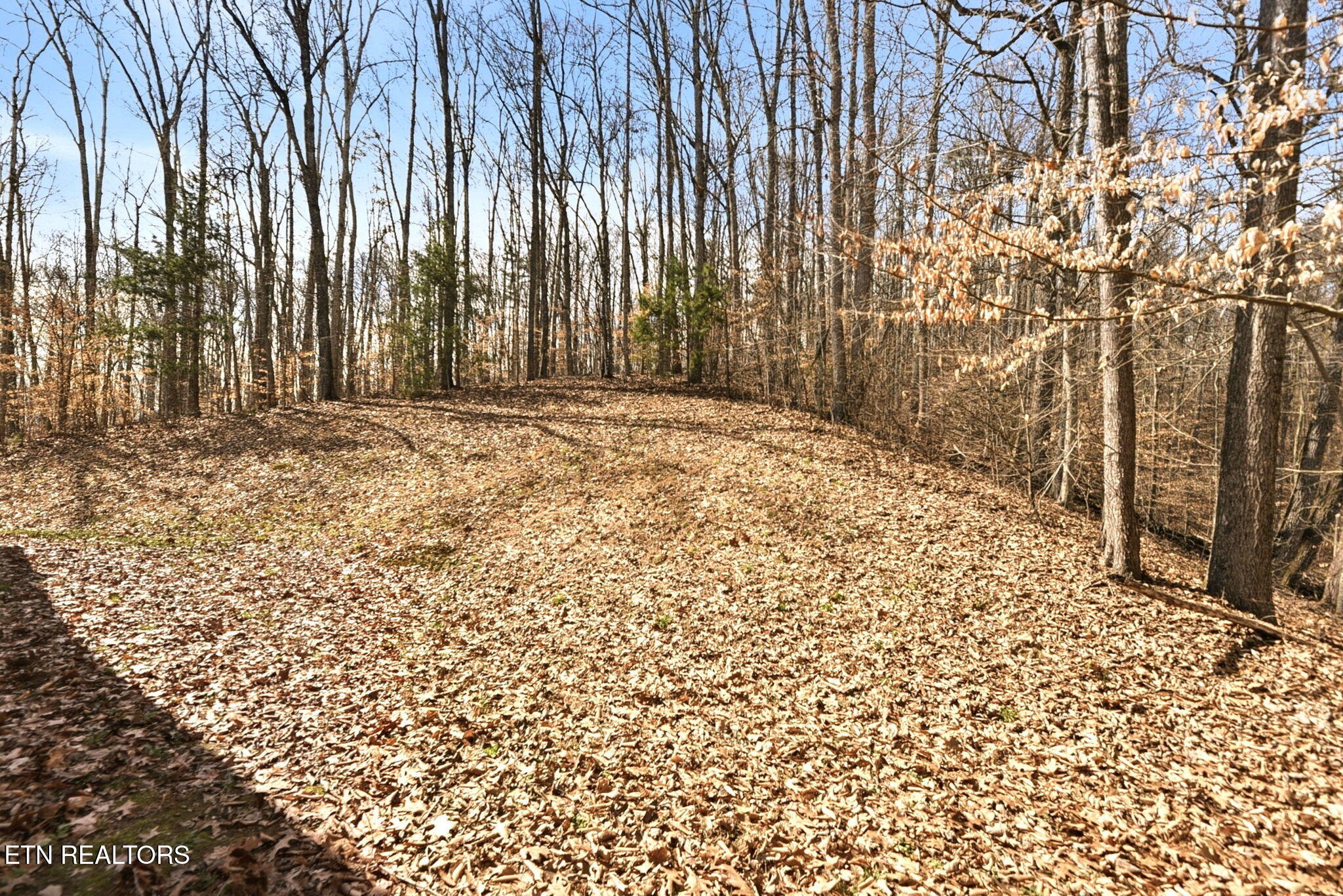 321 West Bullrun Valley Drive Heiskell, TN 37754 - Photo 48 of 58 48-web-or-mls-BllrnVlly321 (4)