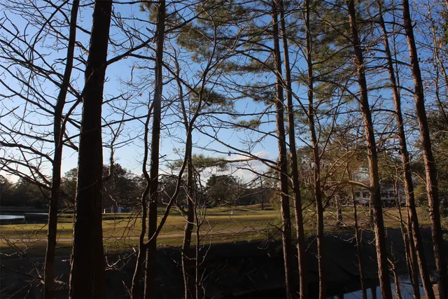 $128,000 | Lot 10 Fairway Oaks, Conroe, TX 77302